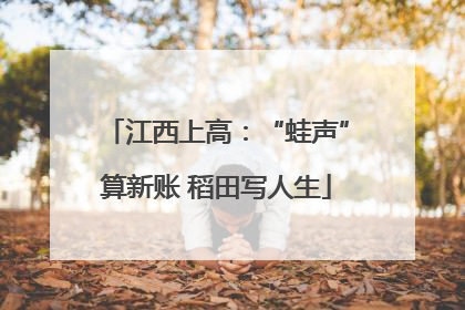 江西上高：“蛙声”算新账 稻田写人生